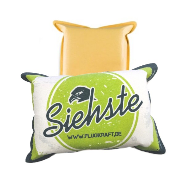 2in1 Scheibenschwamm